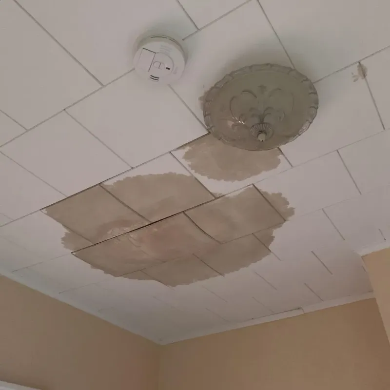 Ceiling Water Damage Repair in Caney, KS