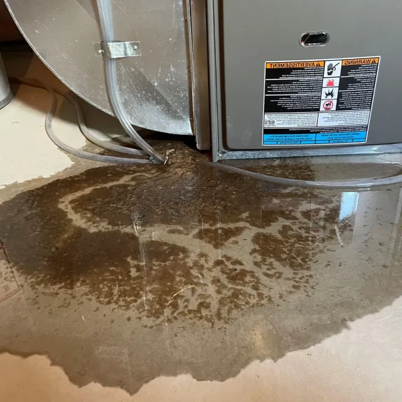 Pipe Burst and Leak Restoration in Caney, KS