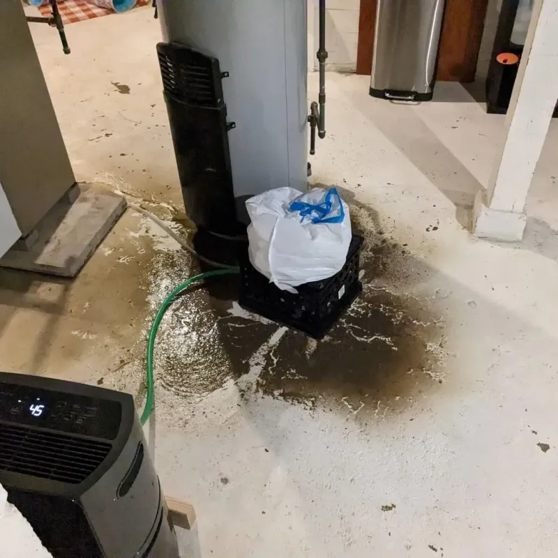 Sewage Backup Cleanup Service in Caney, KS